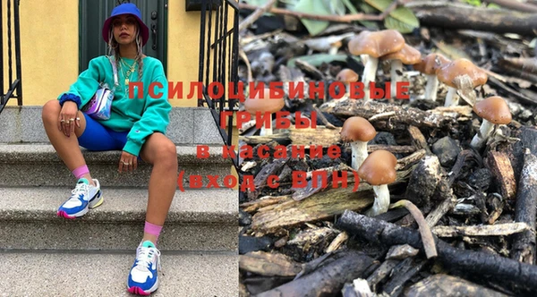 дурь Карталы
