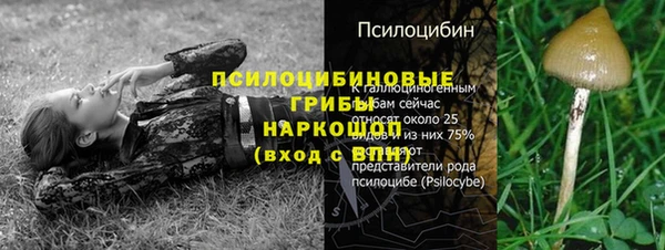 ешки Армянск