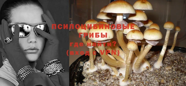 мескалин Арсеньев