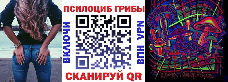Псилоцибиновые грибы GOLDEN TEACHER  Губкинский 